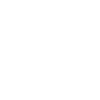 IVAO Logo